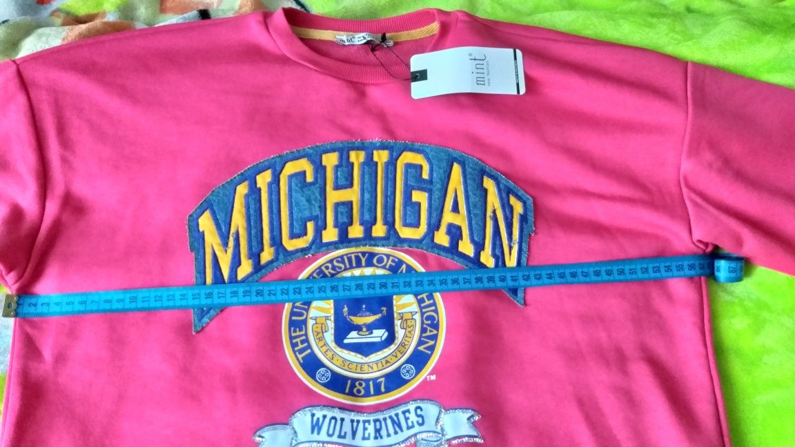 Світшот Michigan