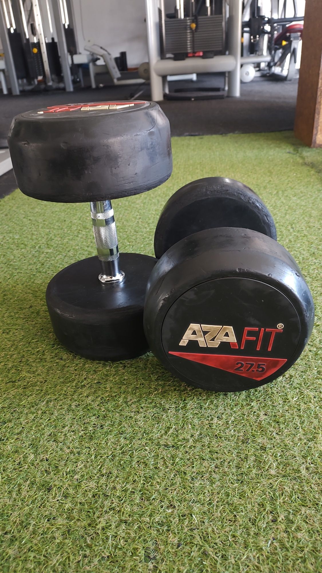 Halteres 27.5kg  e 32.5kg