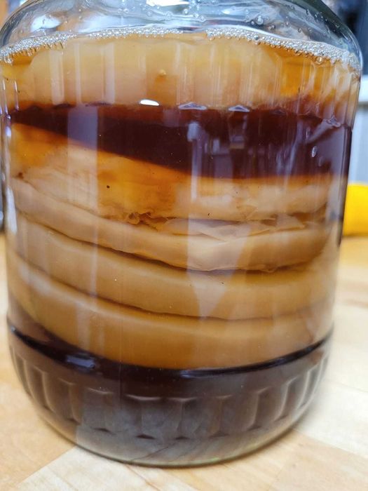 Zdrowy Grzybek Scoby, Kombucha, pyszny i zdrowy napój
