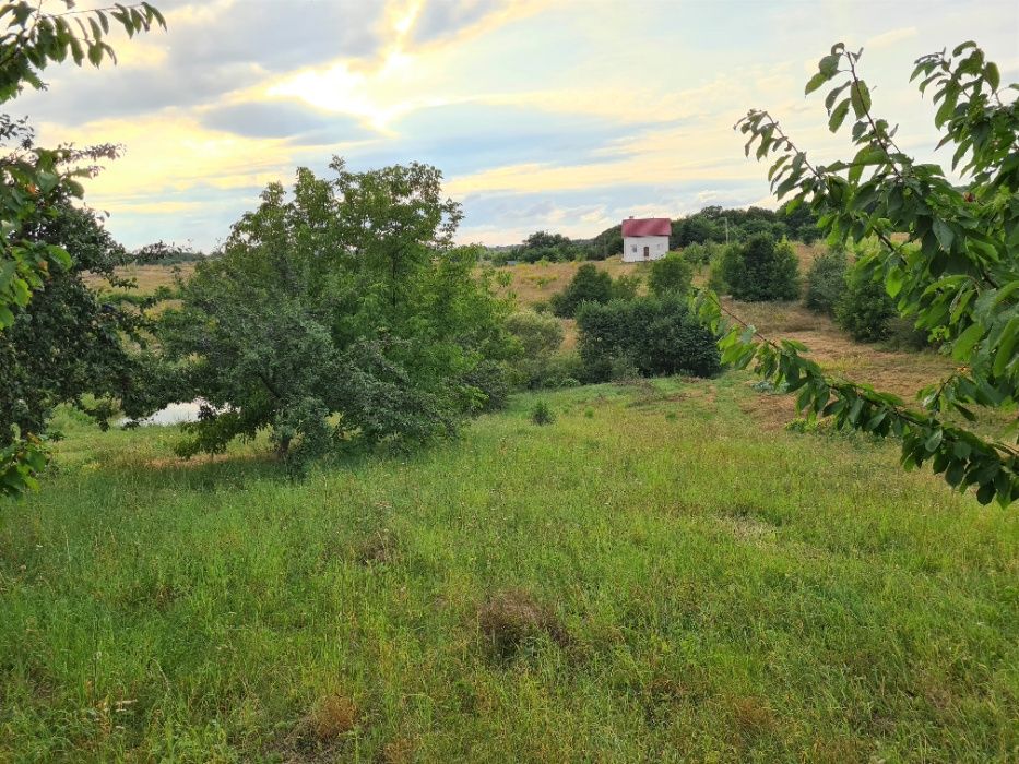 Продам велику ділянку з копанкою у Зарванці (біля Вінниці)