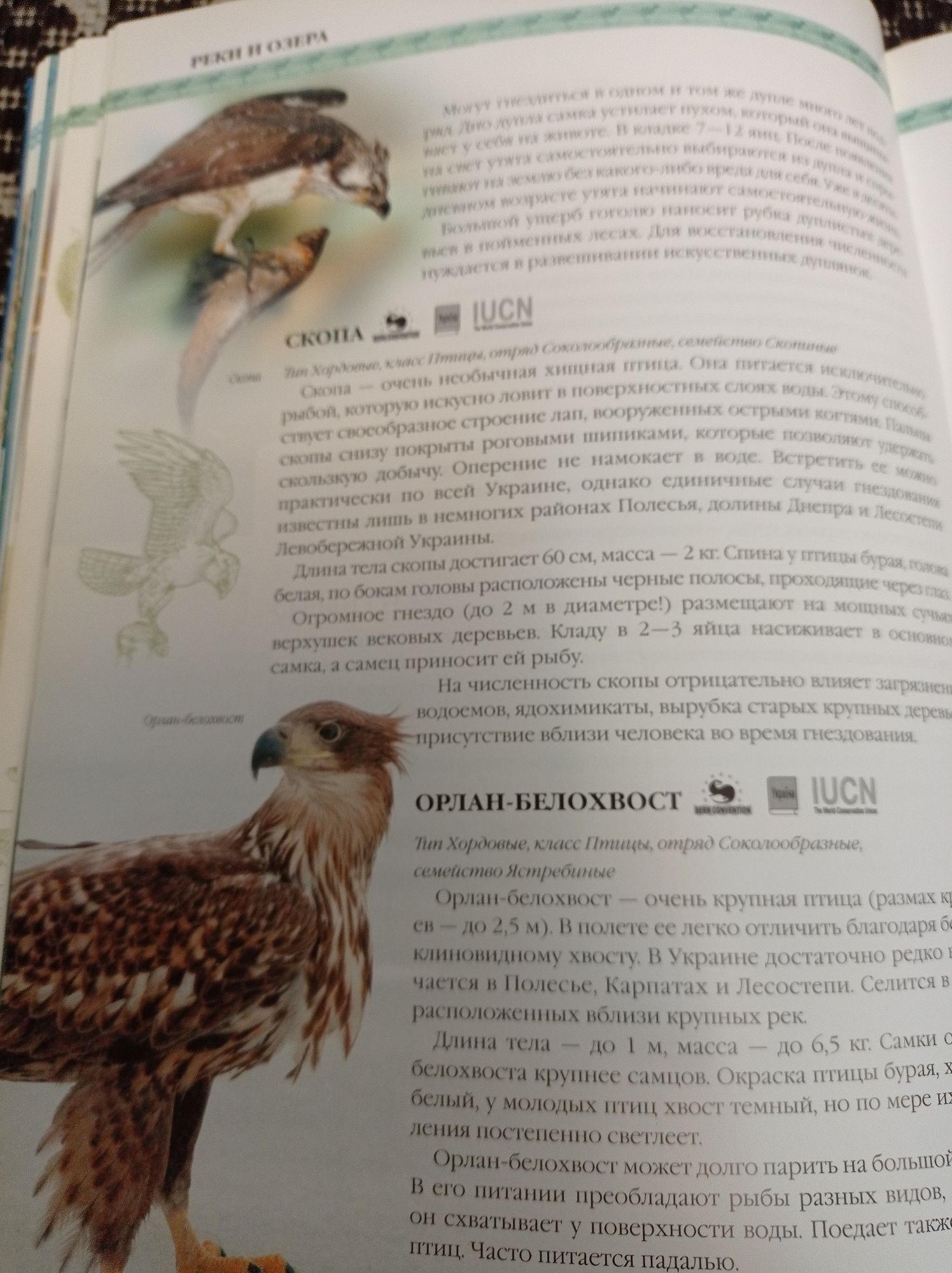 Природа Украины, энциклопедия для детей