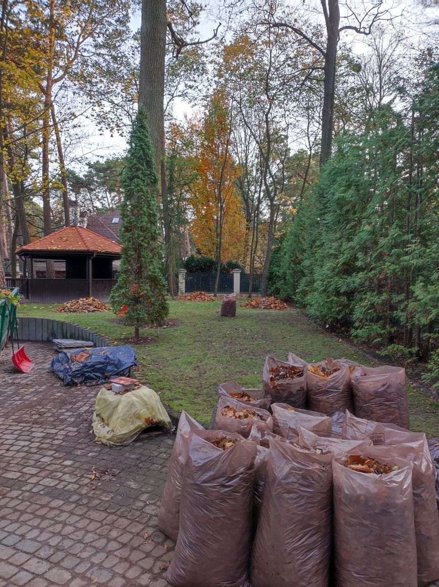 Koszenie trawy. Sprzątanie działek. Ogrodnik