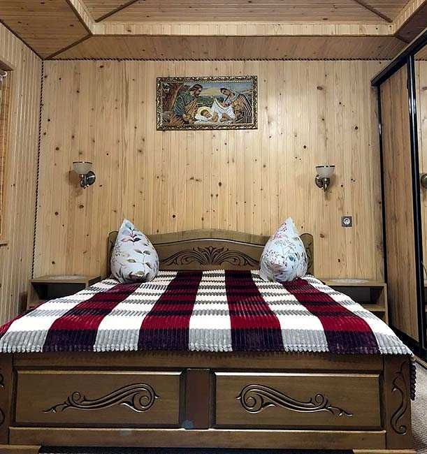 Житло в Карпатах Плай Карпатська Ніч