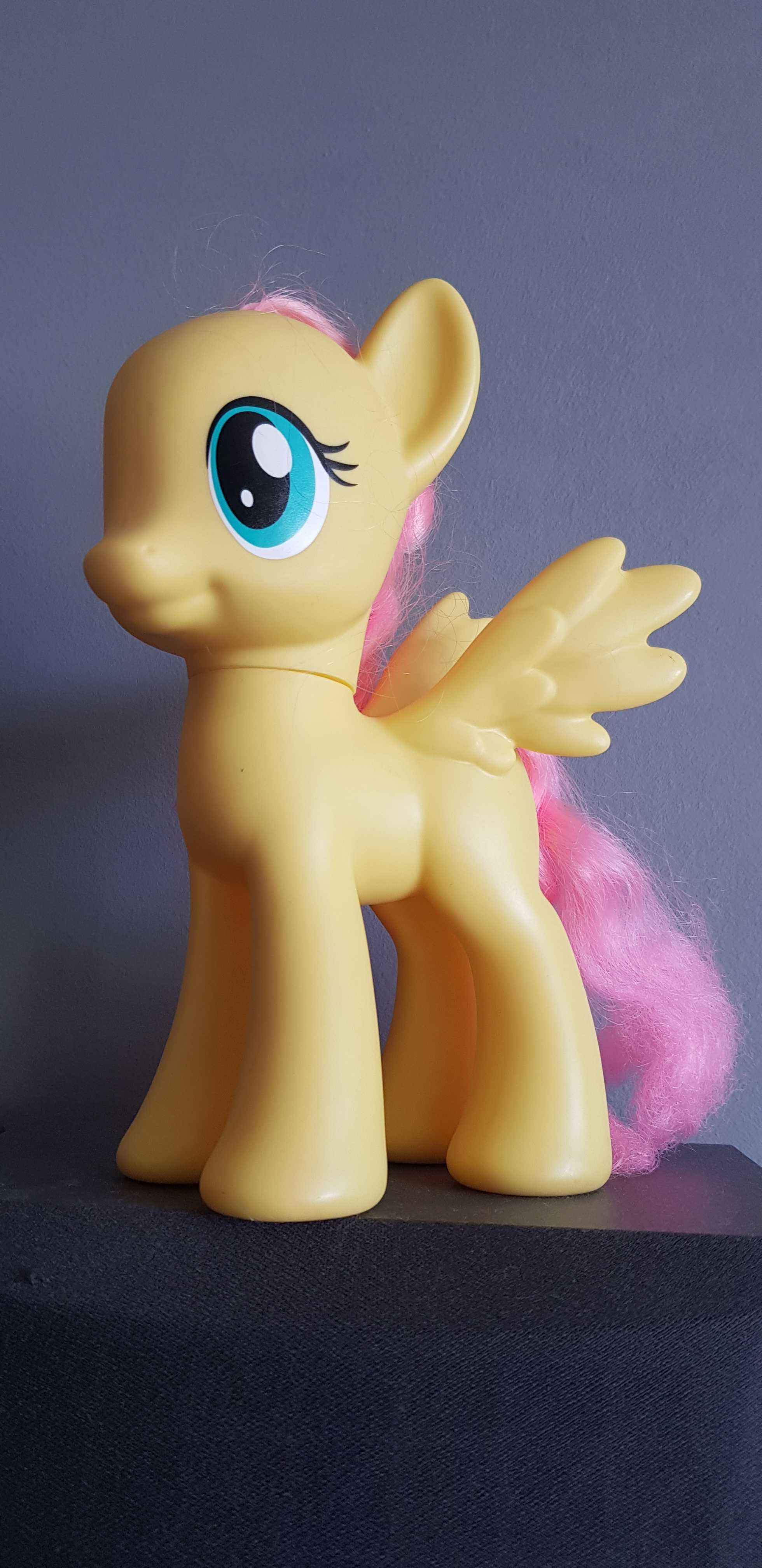 Konik Pony Fluttershy