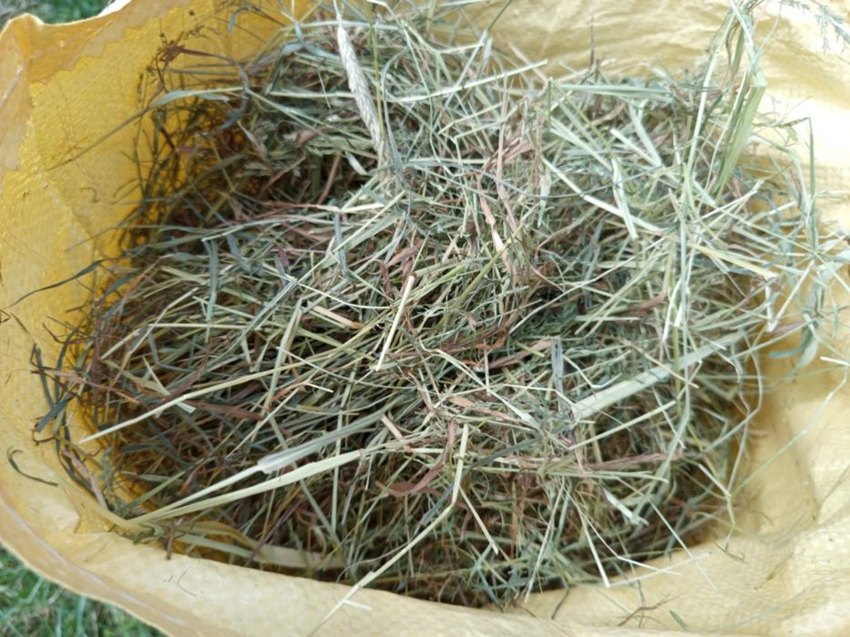 Sianko naturalne 5kg sianka