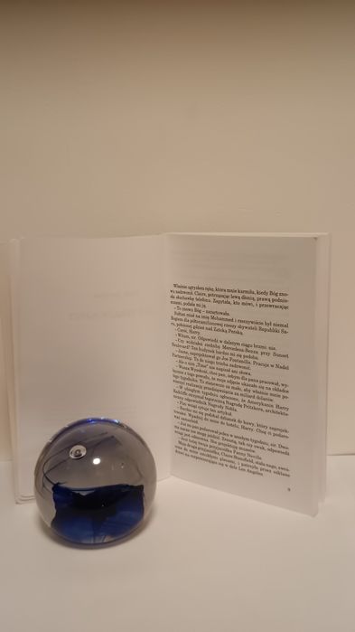 Muzeum psów. Jonathan Carroll. Dom Wydawniczy Rebis, 2000r., wyd.II