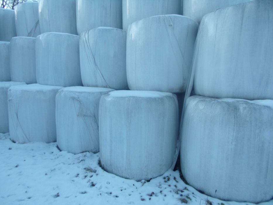 Sianokiszonka,Bele 125