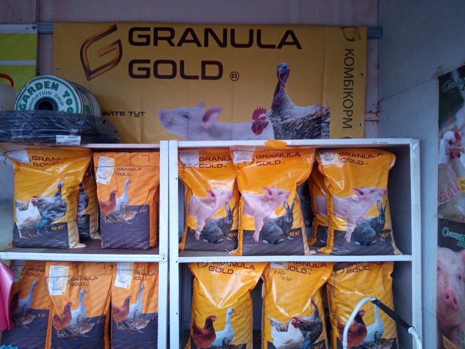 Поросята від 10 кг старт