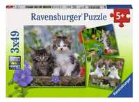 Puzzle 3x49 Kocięta, Ravensburger
