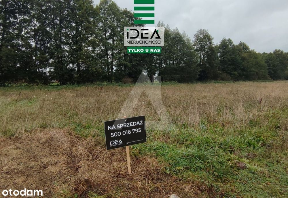 Działki z Mpzp w Małe Rudy.