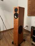 Kolumny Audio Physic Tempo 6