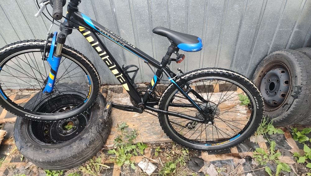 Rower indiana x pulser 2.4