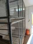 Voadeira para aves