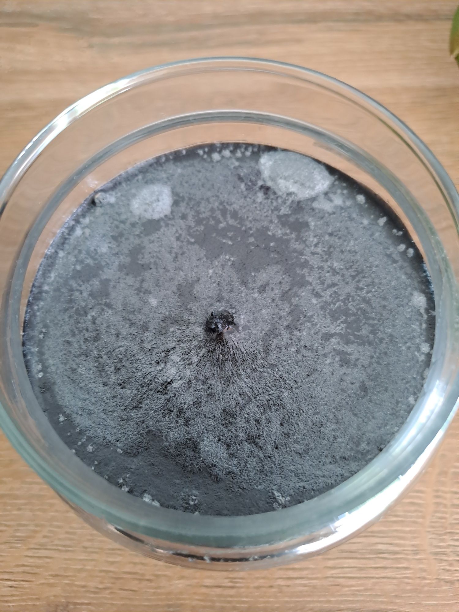 Yankee Candle Witches Brew duża palona