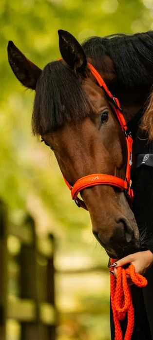 Kantar Eskadron DYNAMIC 25 A/W SPARKLE Double Poppy Red