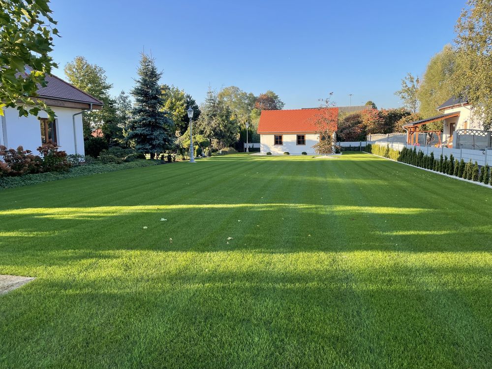 Piaskarka spalinowa, rozsiewacz Eco Lawn 250