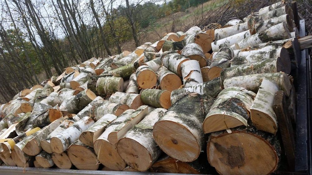 Drewno kominek opalowe