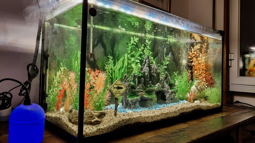 Aquário 100L completo