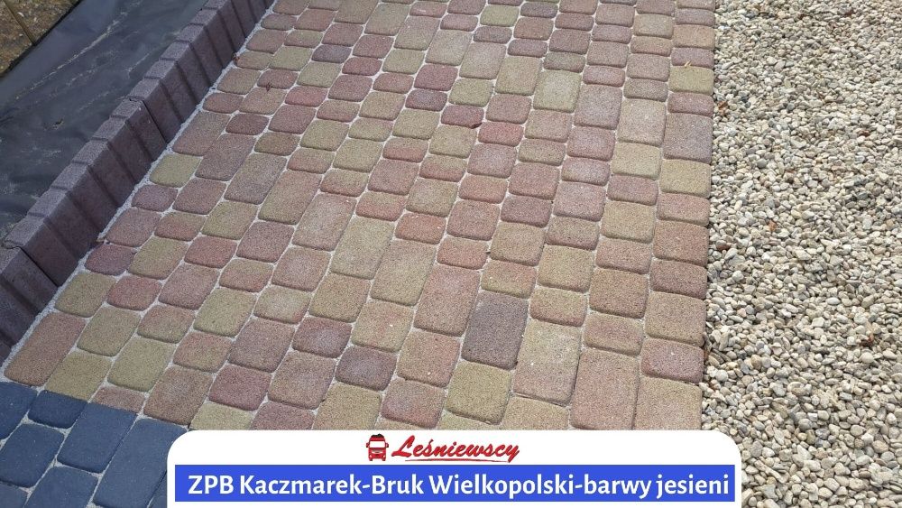 Kostka brukowa ZPB Kaczmarek Bruk wielkopolski/Nostalit ZPB Kaczmarek