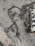 Honda Civic  1.4 VI 5D 1999- D14Z4 Wiązka Silnika