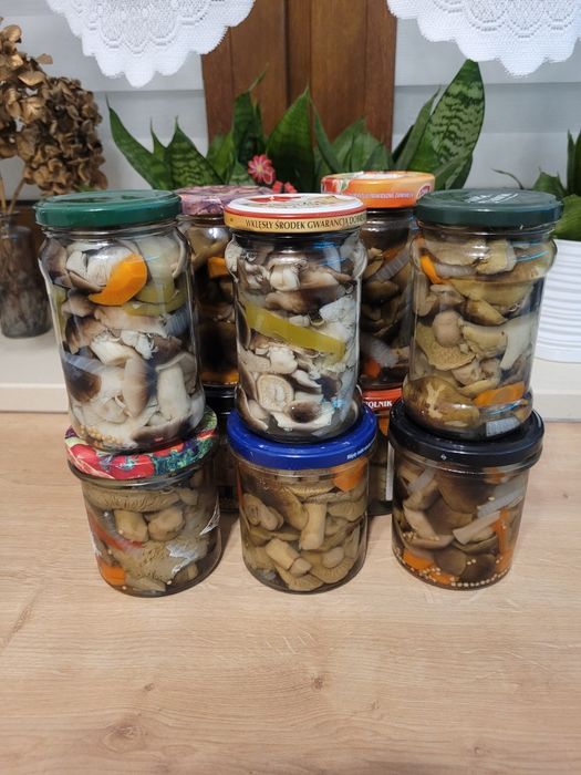 Gąski marynowane - grzyby marynowane