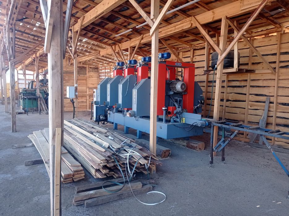 Стрічковий багатопил Туреччина