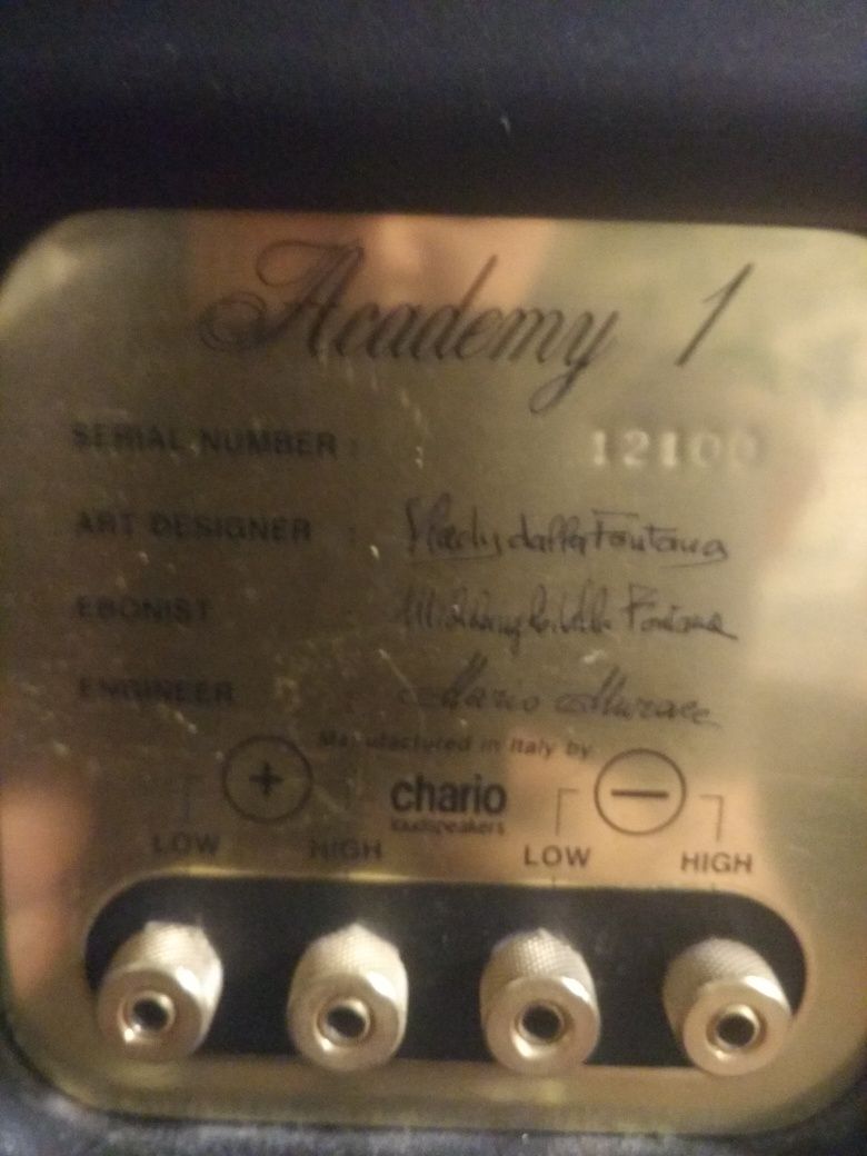 Продаю акустику премиум класса Chario Academy One.