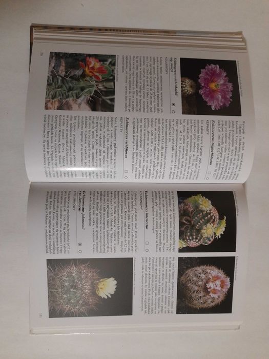 Encyklopedia kaktusów Rudolf Subik, Libor Kunte