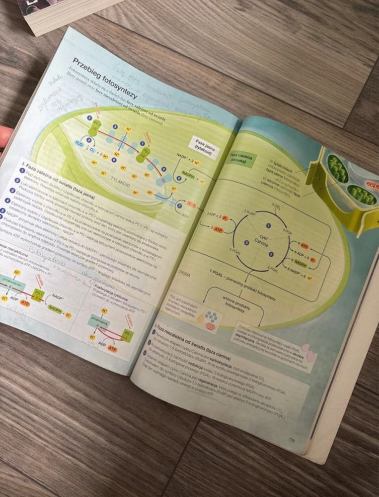podręcznik do biologii roszerzonej 1 biologia na czasie 1