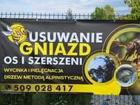 Usuwanie gniazd os i szerszeni