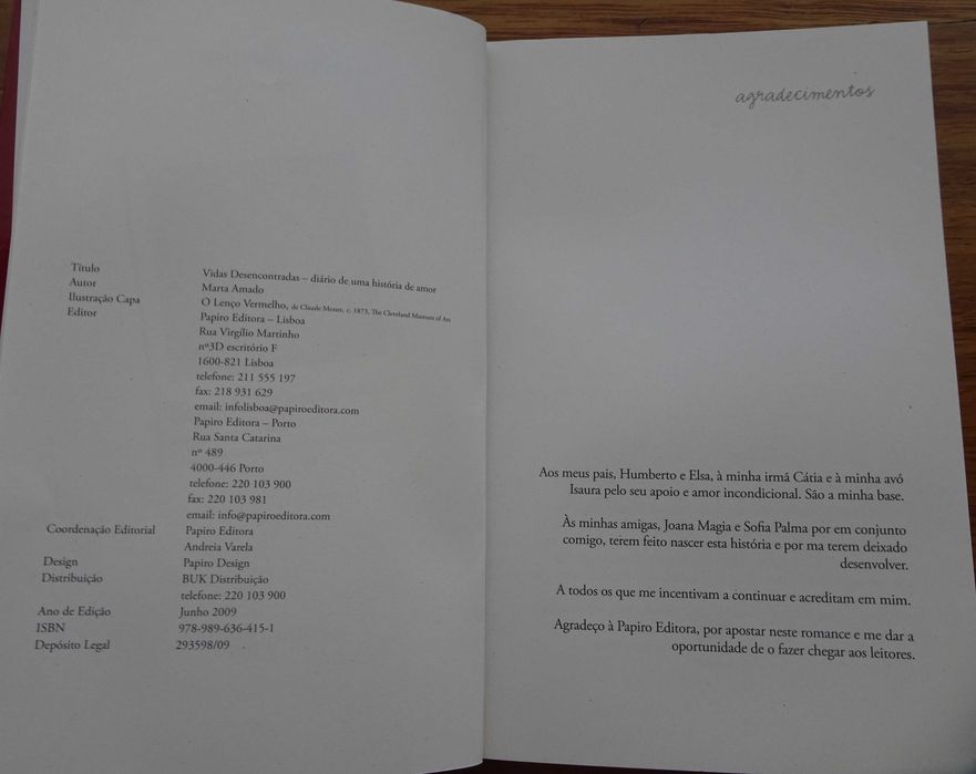 Vidas Desencontradas (Diário de Uma História de Amor) de Marta Amado