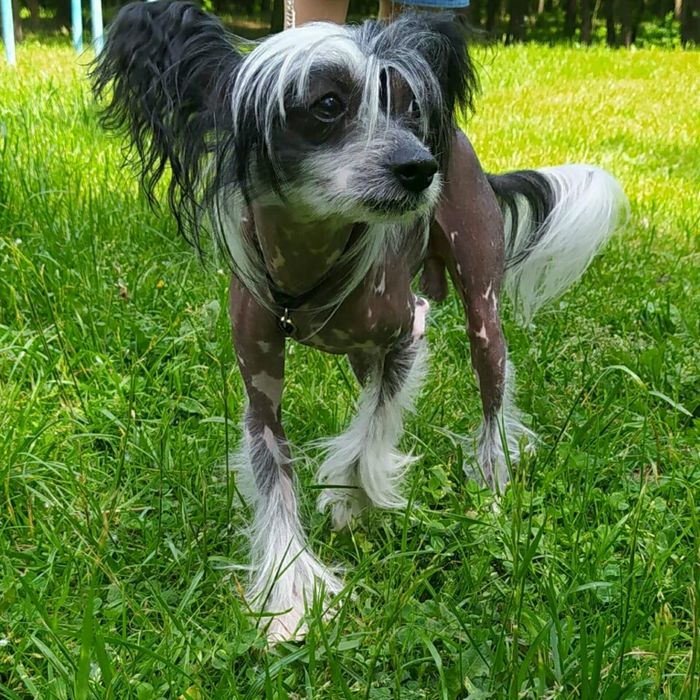 Красавец мужчина