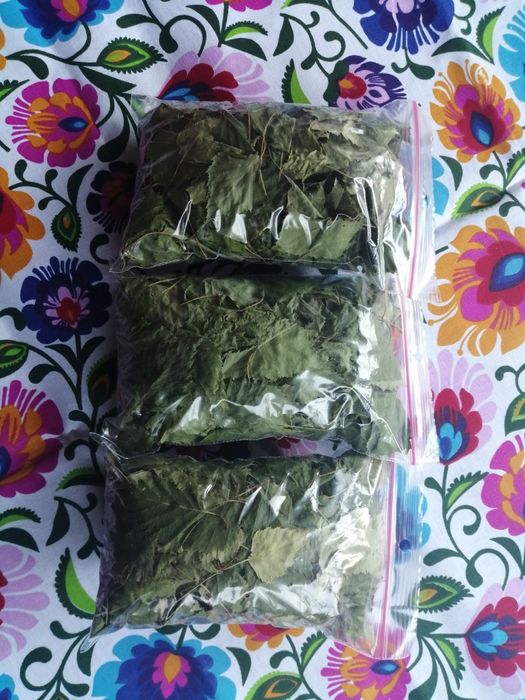 Młode liście brzozy 20 g