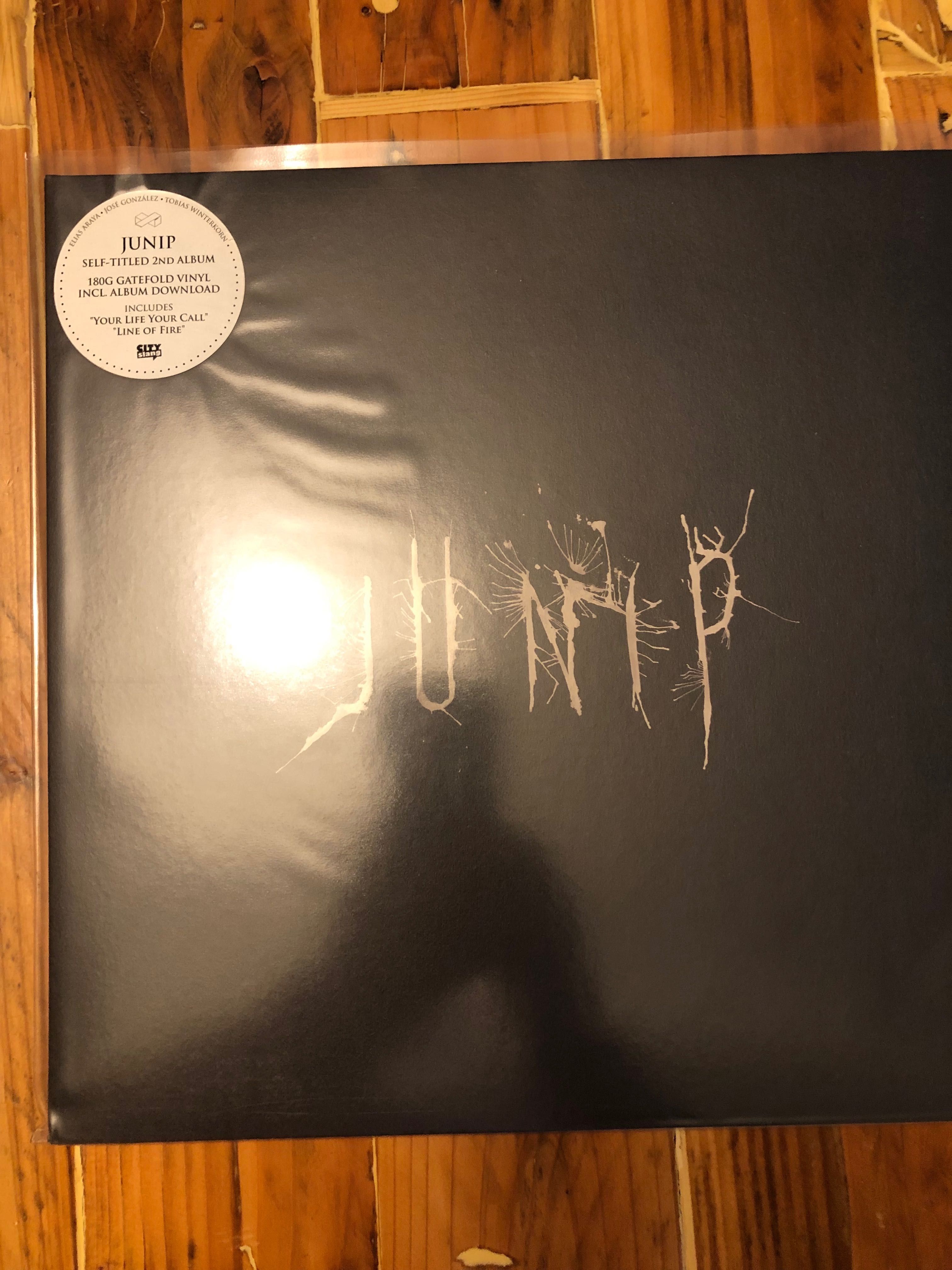 LP´s vinil Junip