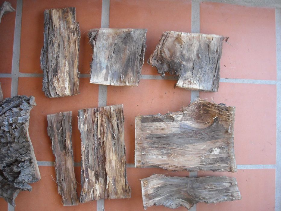 Casca de arvore natural para decoracao terrario ou outros