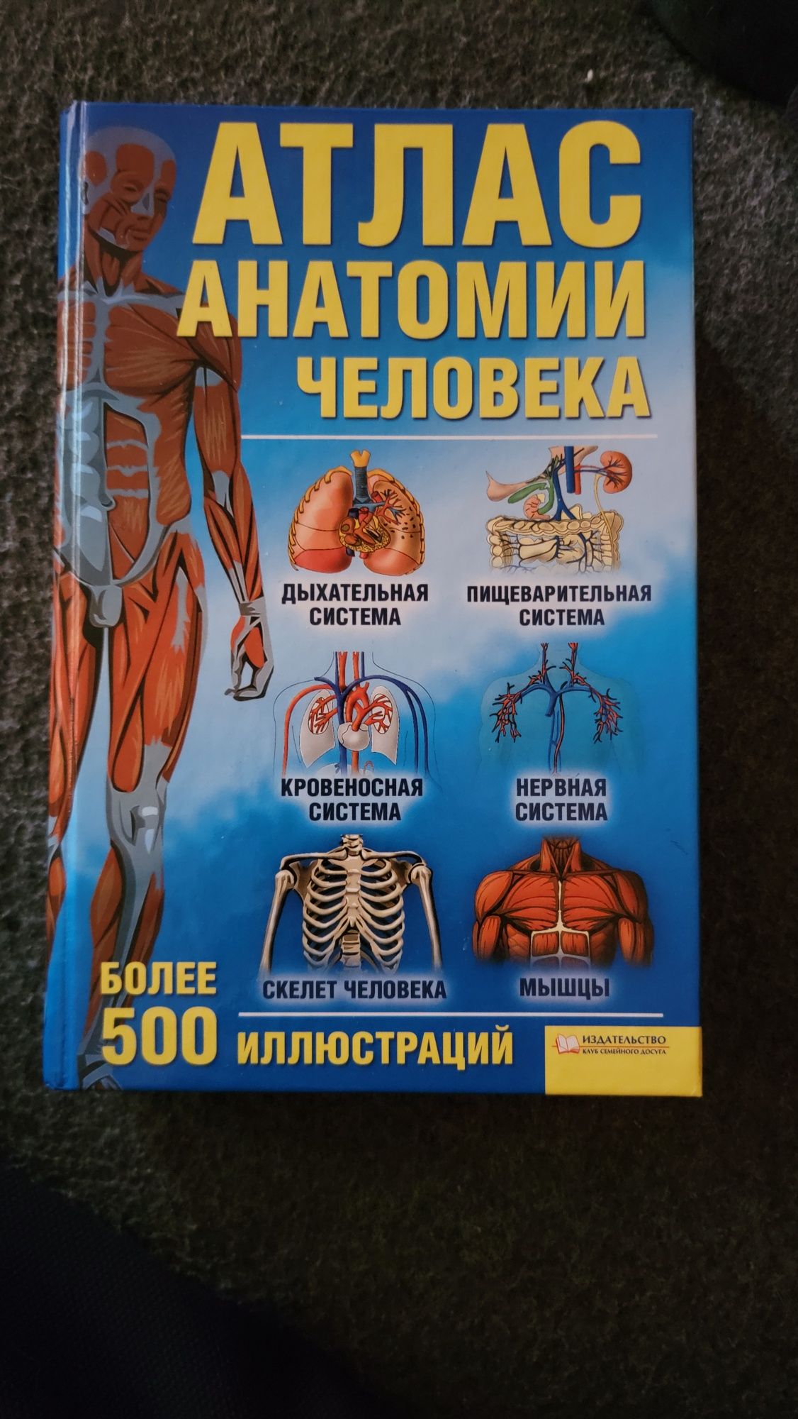 Атлас Анатомии Человека
