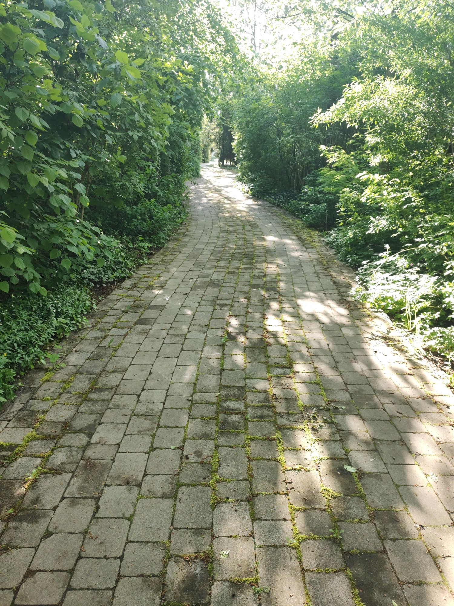 Czyszczenie kostki brukowej, betonowych ogrodzeń