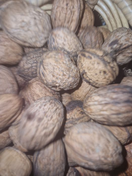 Vende-se Nozes Caseiras ao kilo