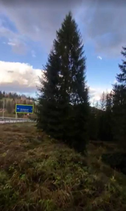 Хороша пропозиція земельної ділянки - Яблуниця