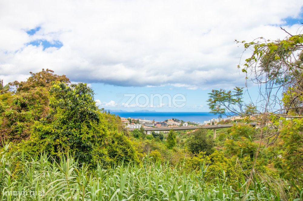Terreno urbano na Quinta do Leme, Santo António