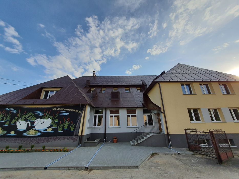 Malowanie dachów, elewacji Wycinka drzew trudnych, rozbiórka kominów