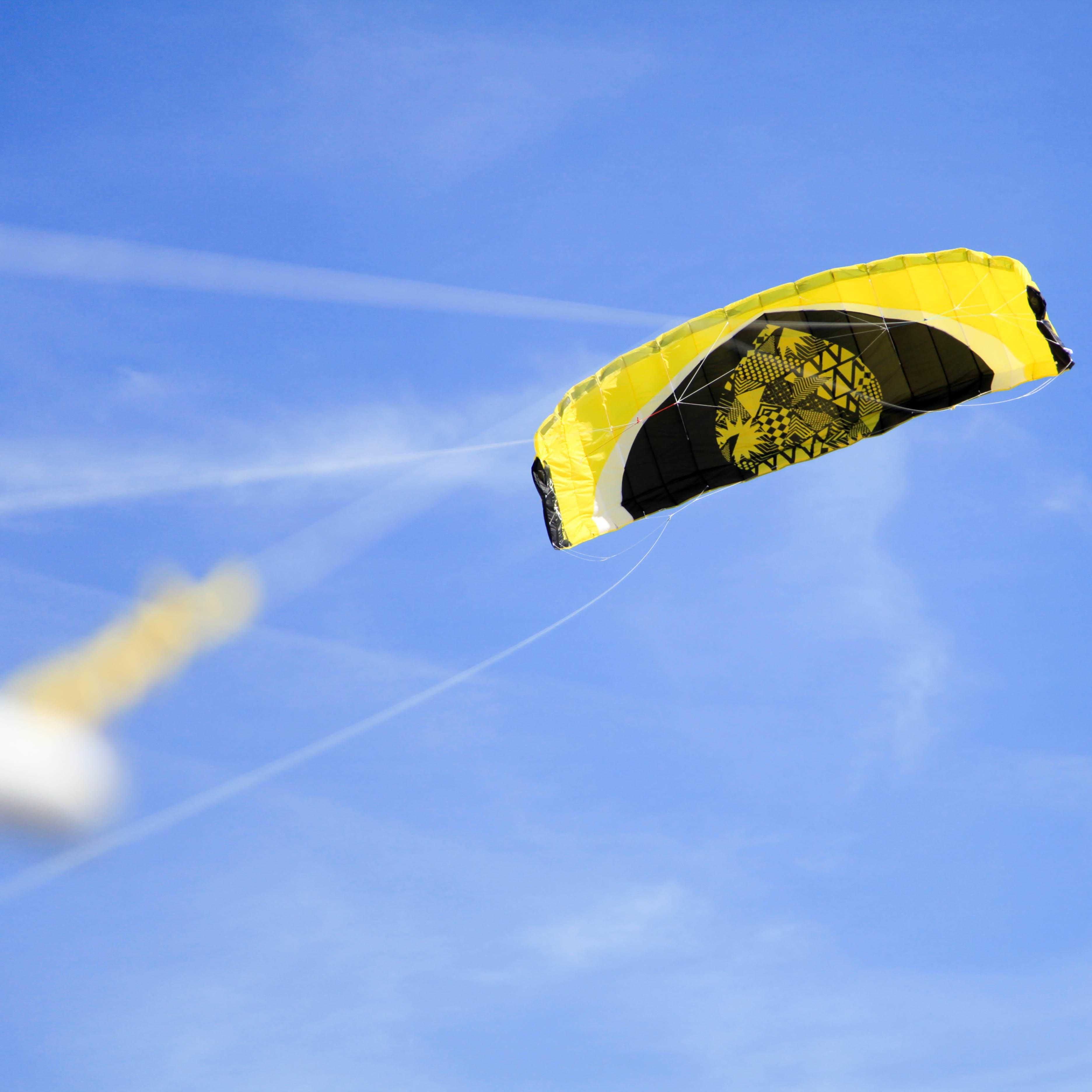 Kite Wing/Land Kite/Asas de Tração