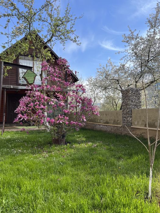 Садиба/котедж «Кароліна» подобово/довгострокова , є дати на Новий Рік