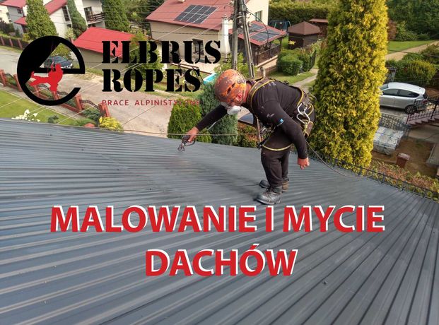 Malowanie Dachów / Mycie Dachu / Montaż Rynien - Prace Alpinistyczne