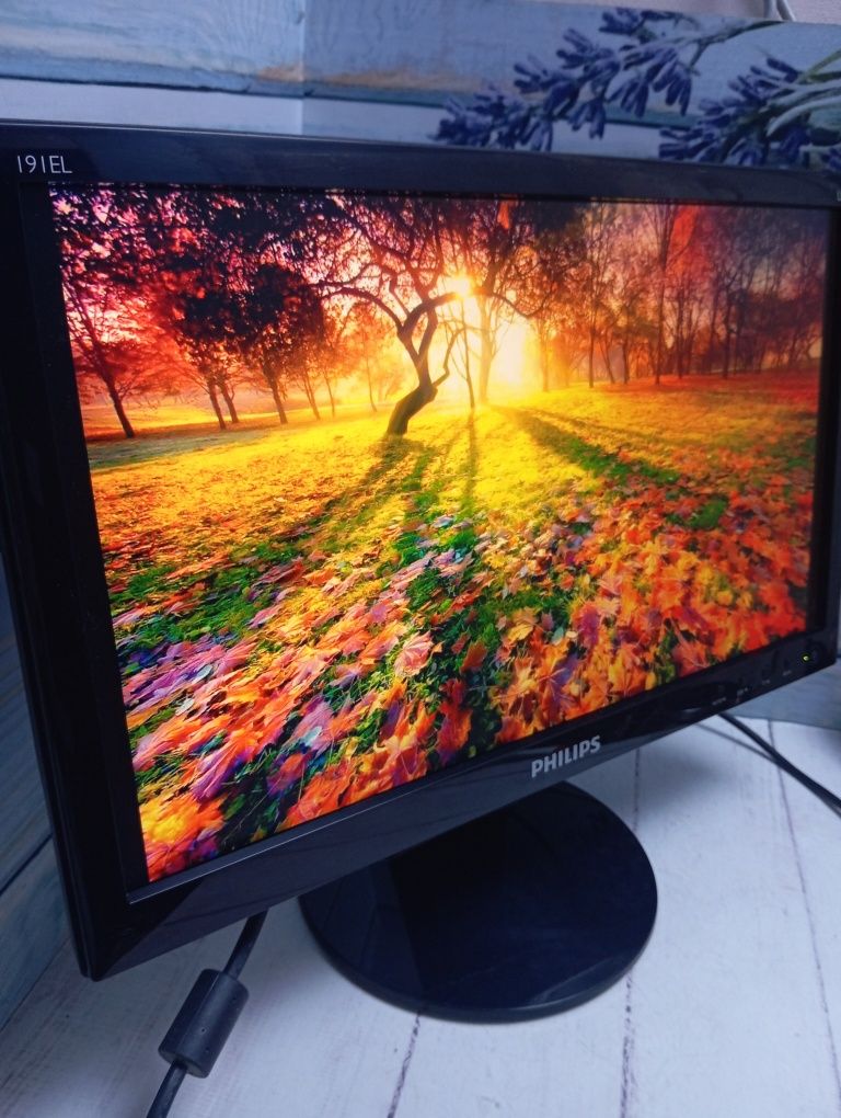 Монитор Philips 19 iel