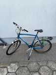 Gazelle Fuente czytaj opis