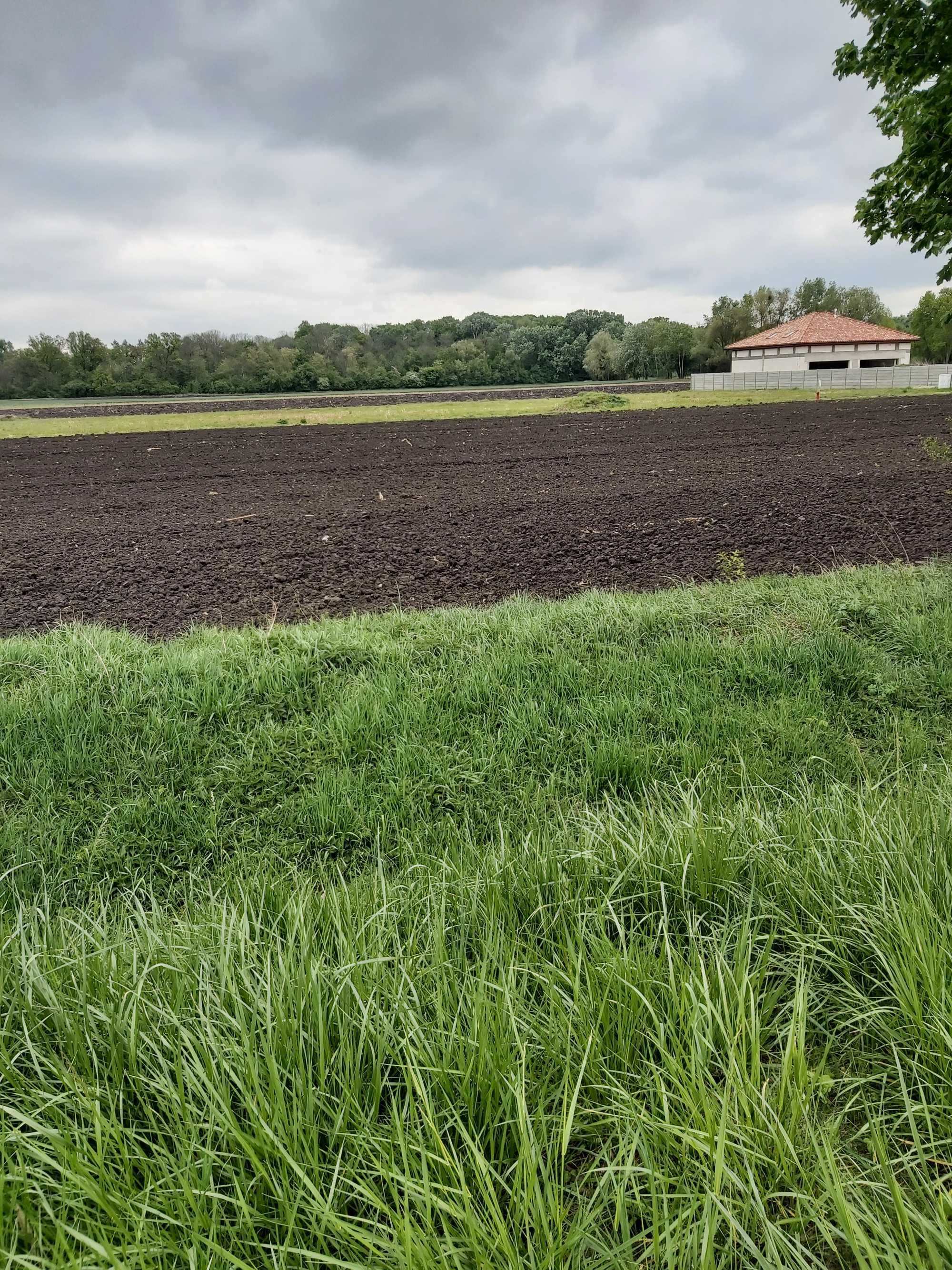 Działka rolna z możliwością zabudowy zagrodowej .