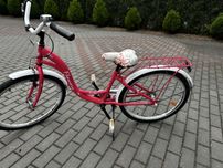 Rower dziewczęcy Turbo Flowers 24