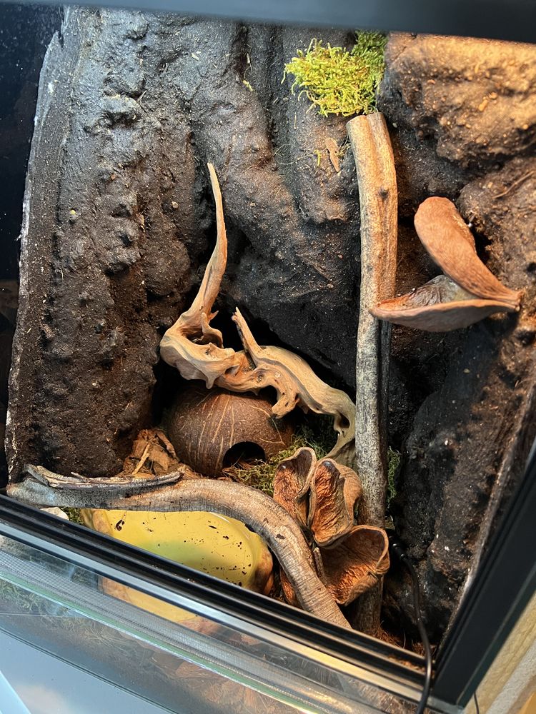 Terrarium 30х30х40 + komplet wszystkiego, do opieki nad jaszczurką