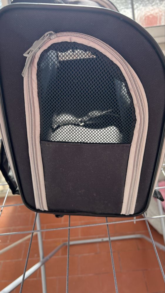 Mala transporte para gatos ou cães pequenos